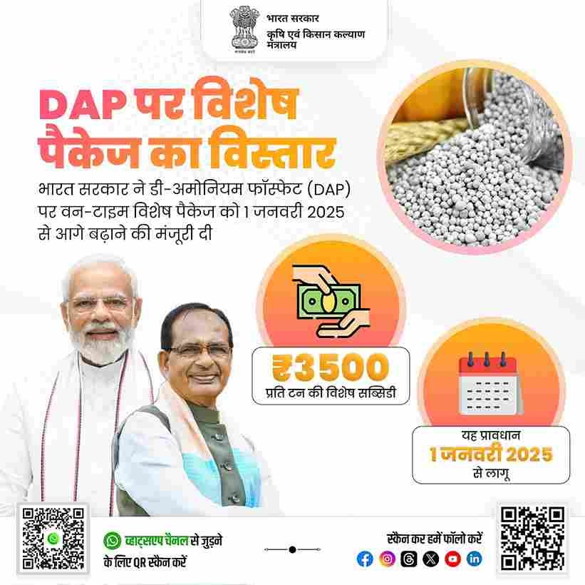 DAP Subsidy