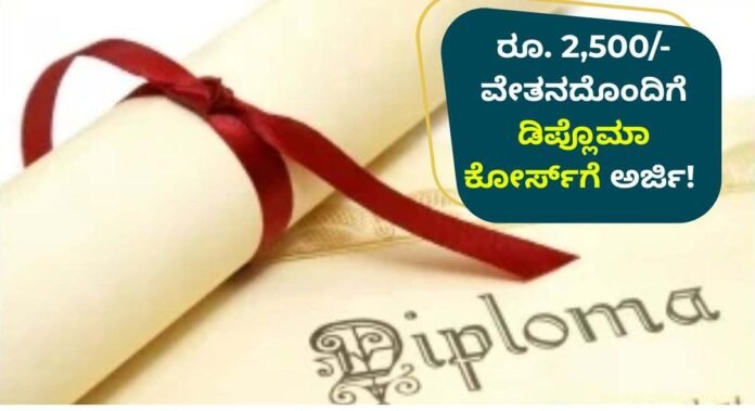 diploma course