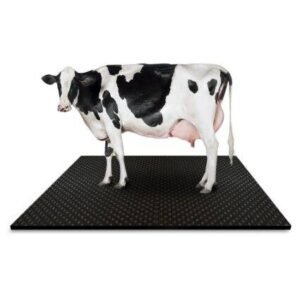 Cow Mat Subsidy