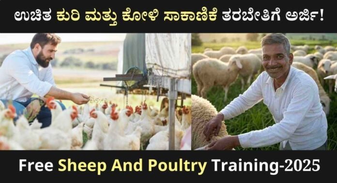 Sheep And Poultry Training