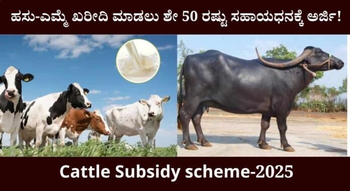 cattle subsidy scheme
