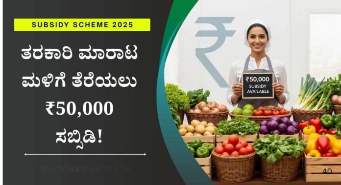 subsidy scheme